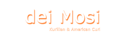 dei Mosi Cattery - Kurilians & American Curls